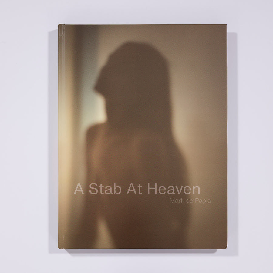 A Stab At Heaven First Edition Book