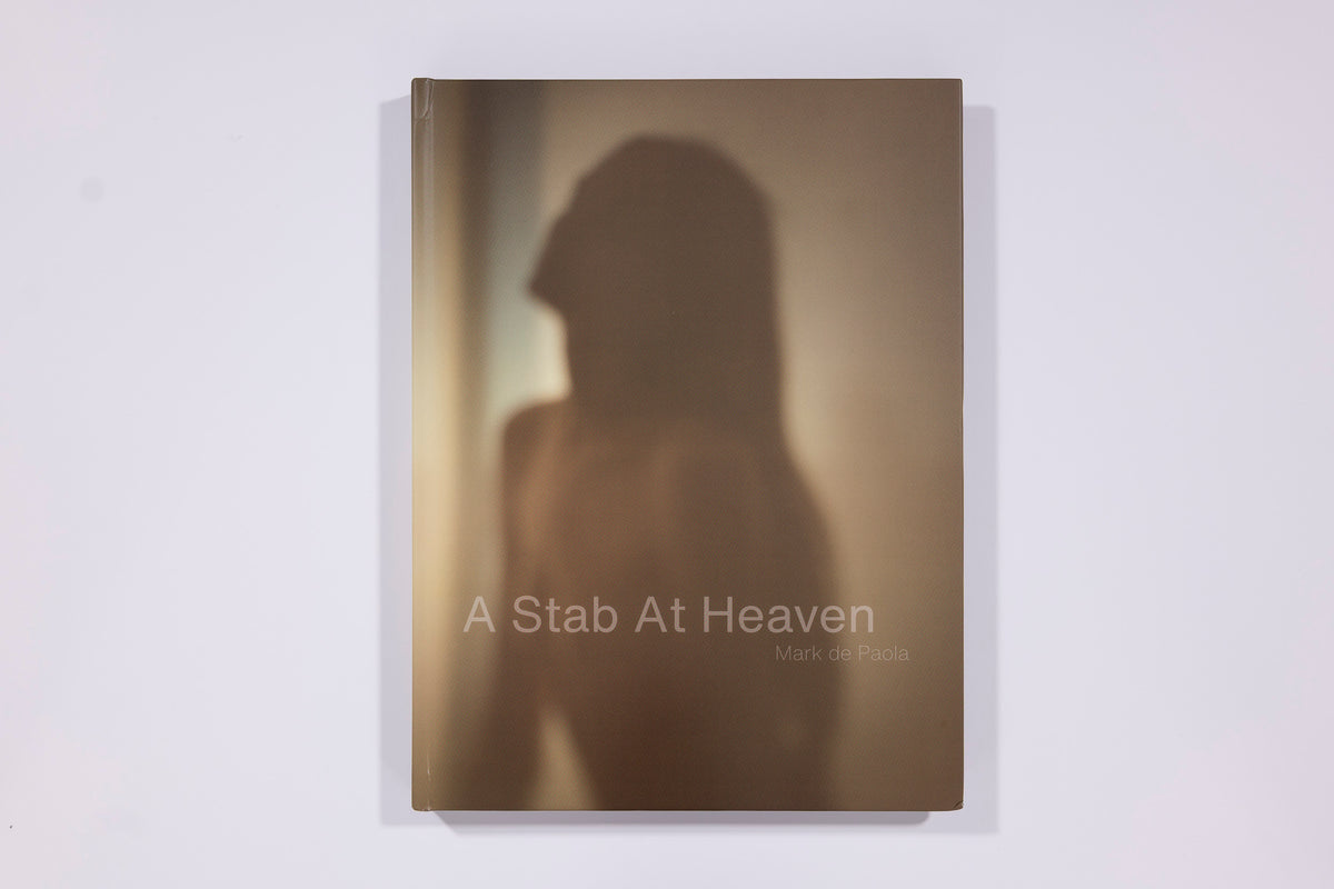 A Stab At Heaven First Edition Book