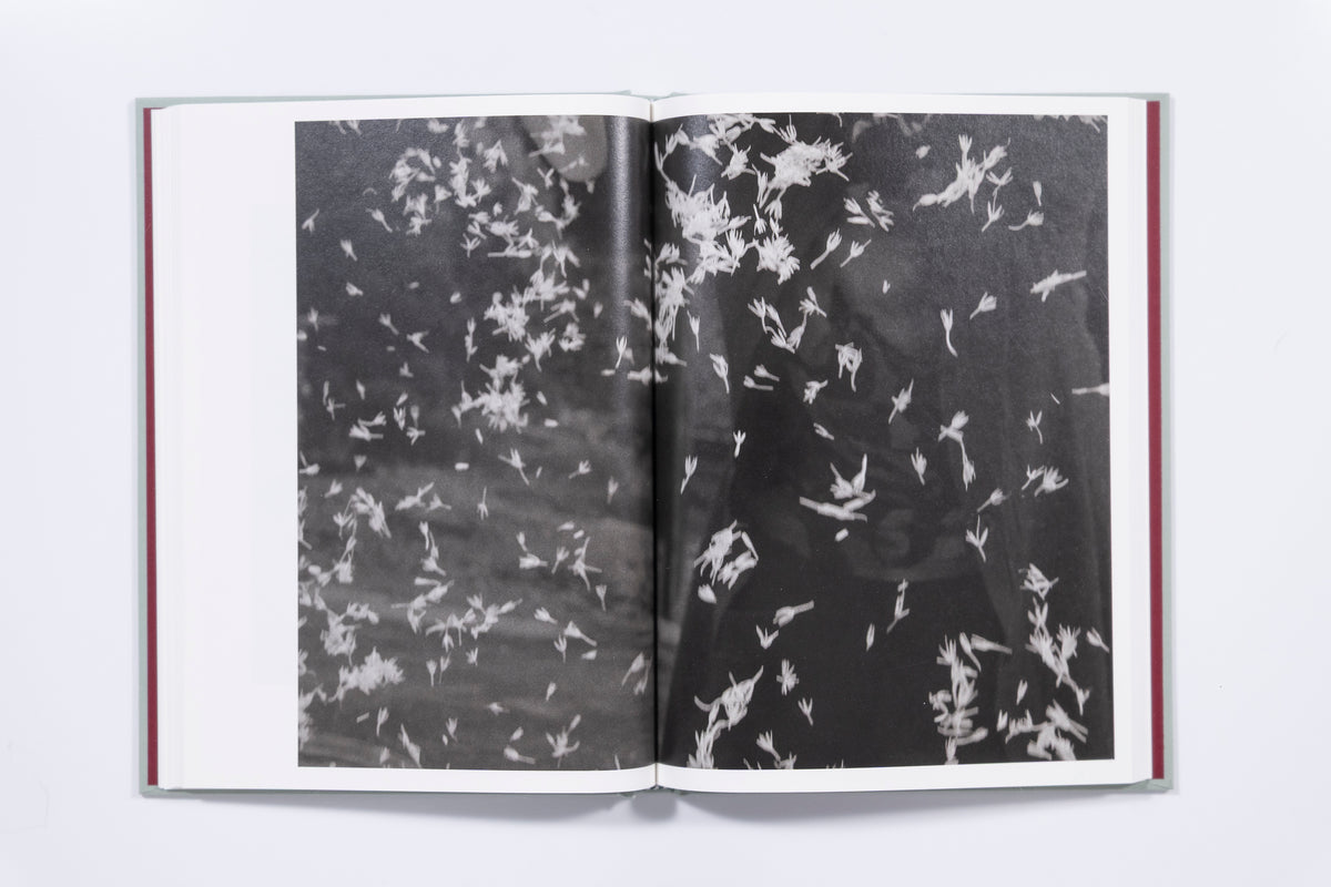 Teresa Freitas Flower(s) - Vol. 1