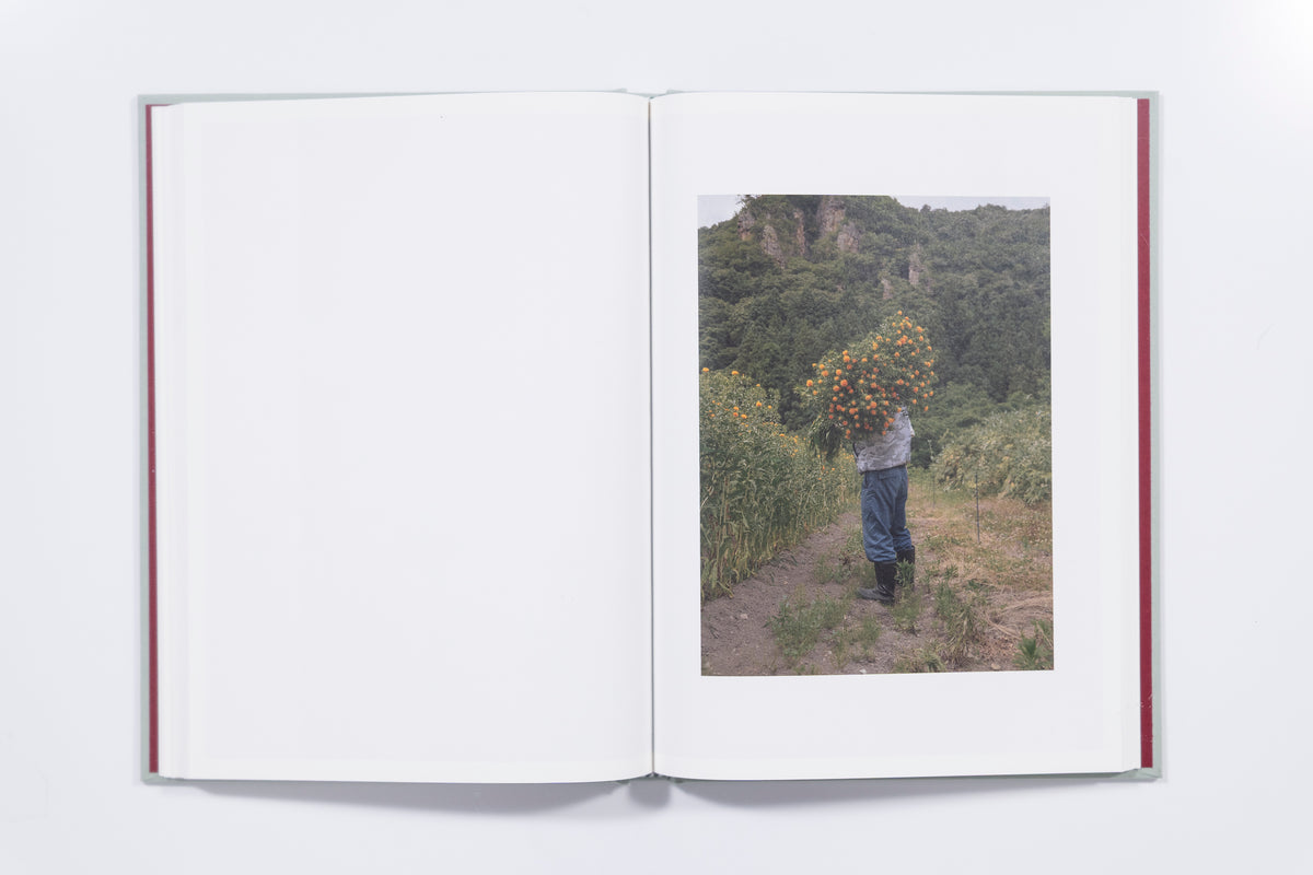Teresa Freitas Flower(s) - Vol. 1