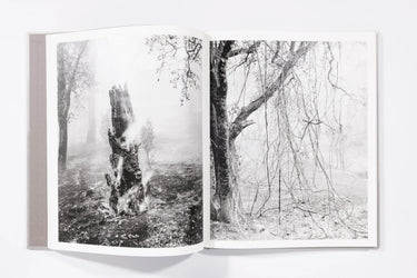 The Weight of Ash - Ian Bates