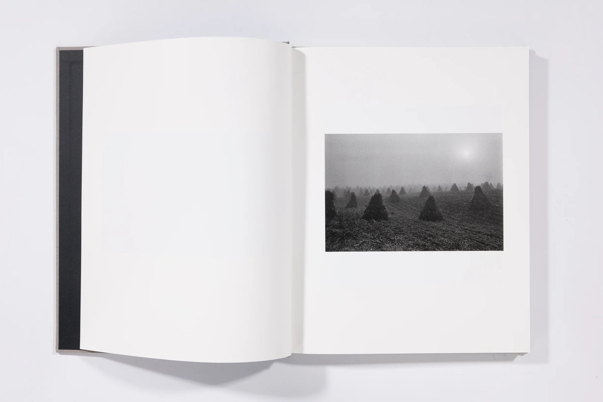 The Seraphim - Jesse Lenz