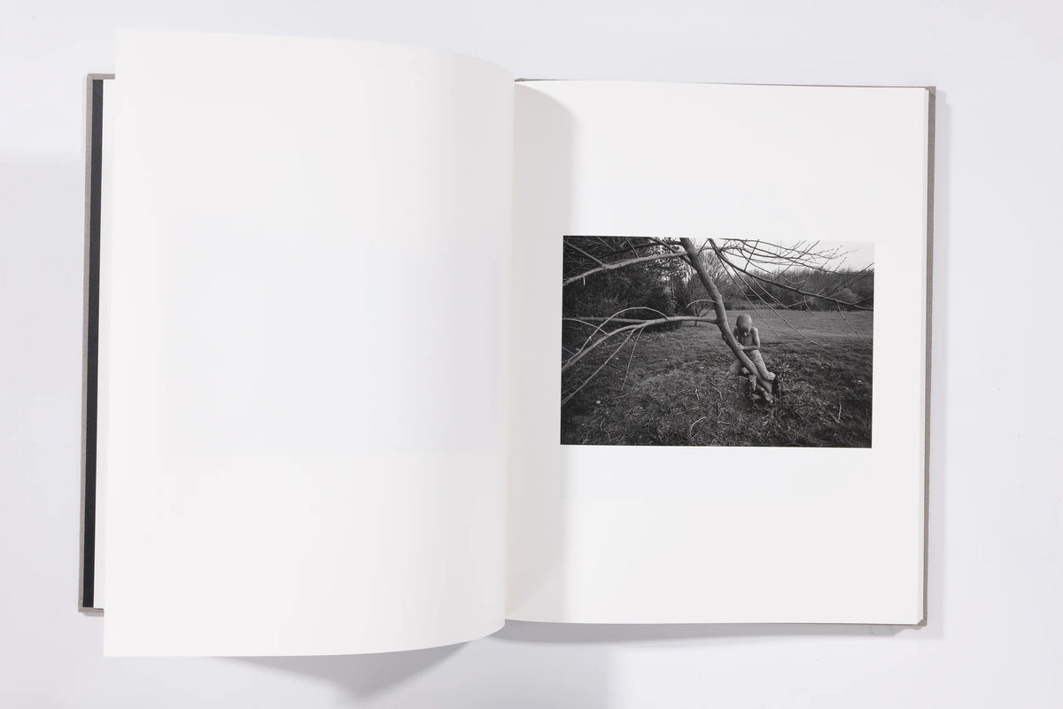 The Seraphim - Jesse Lenz