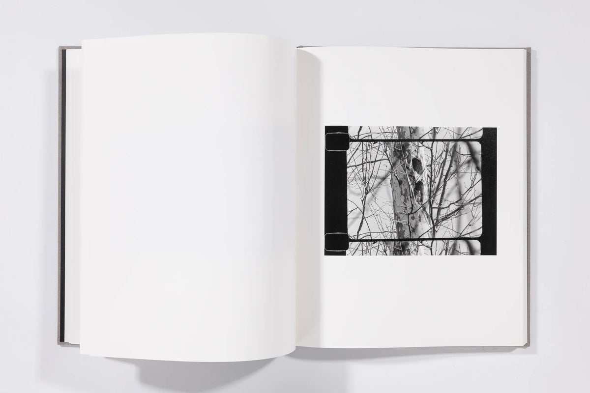 The Seraphim - Jesse Lenz