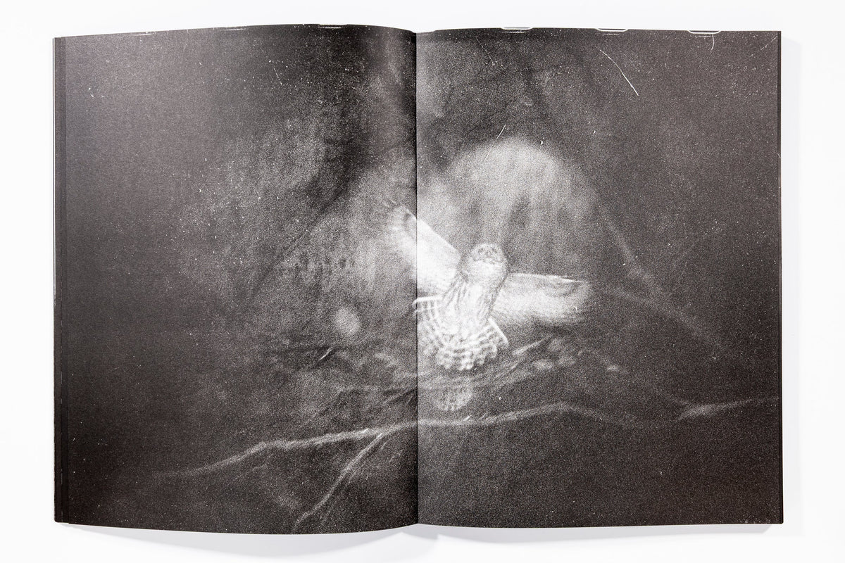Blank Notes - Marshall To