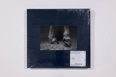 Alessandra Sanguinetti, Some Say Ice, Signed