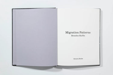 Migration Patterns, Brandon Ruffin