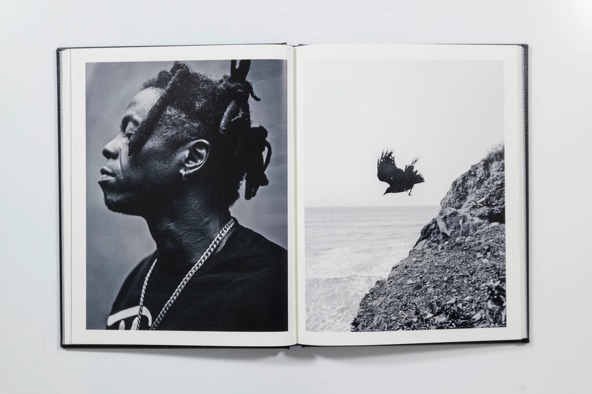 Migration Patterns, Brandon Ruffin