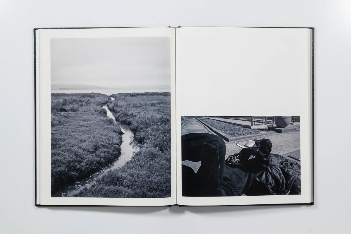 Migration Patterns, Brandon Ruffin