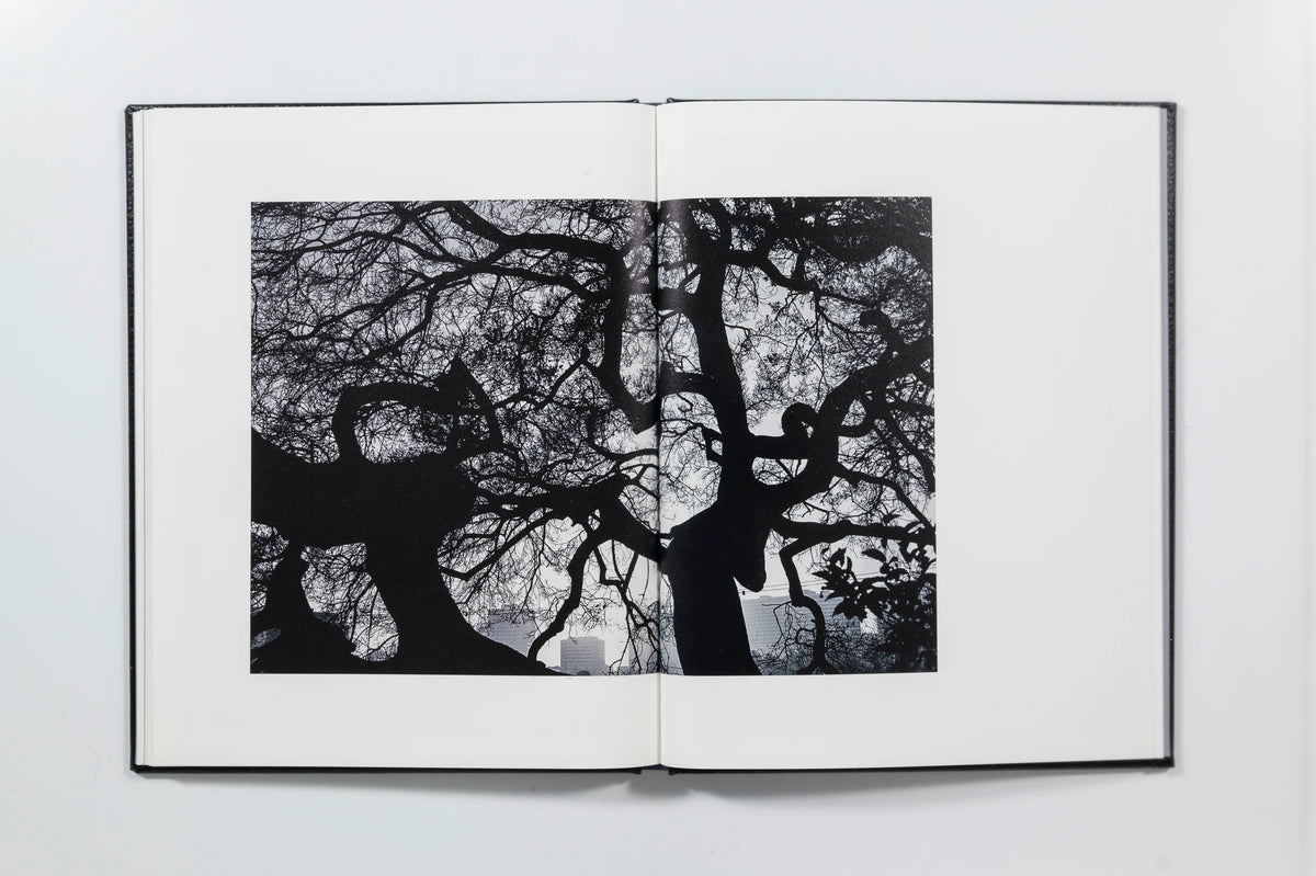 Migration Patterns, Brandon Ruffin