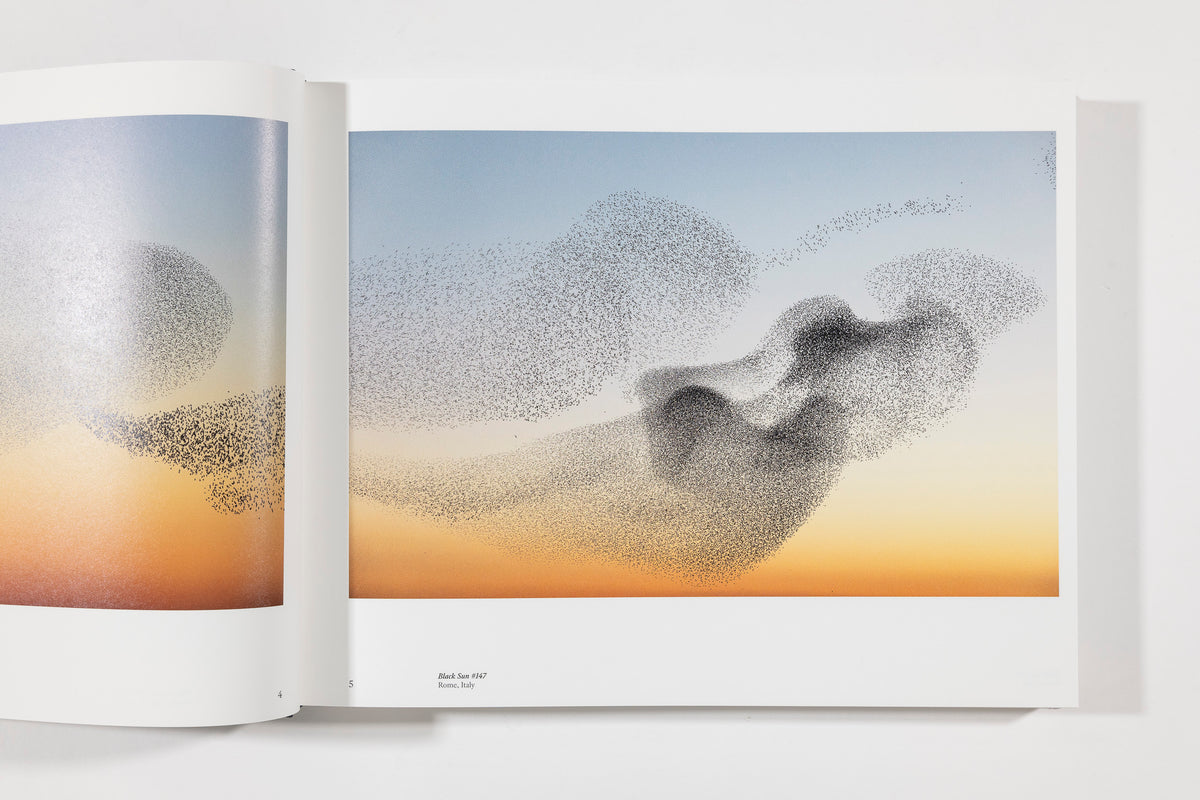 Soren Solkaer, Starling