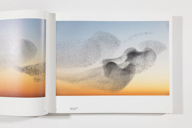 Soren Solkaer, Starling