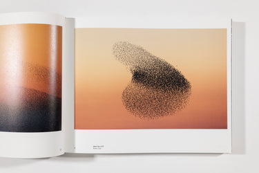 Soren Solkaer, Starling