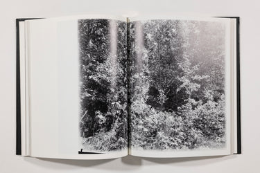 JH Engstrom, Tout Va Bien, Signed (9)