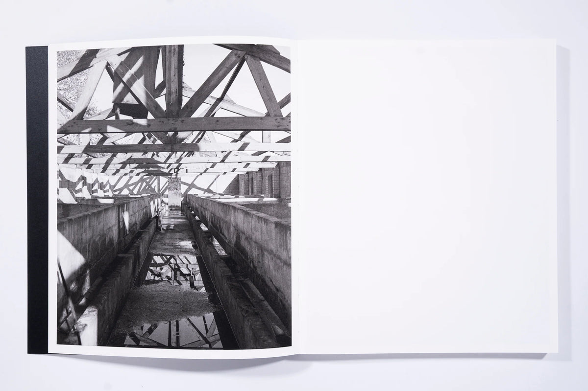 Mixedness is my Mythology, Farren van Wyk