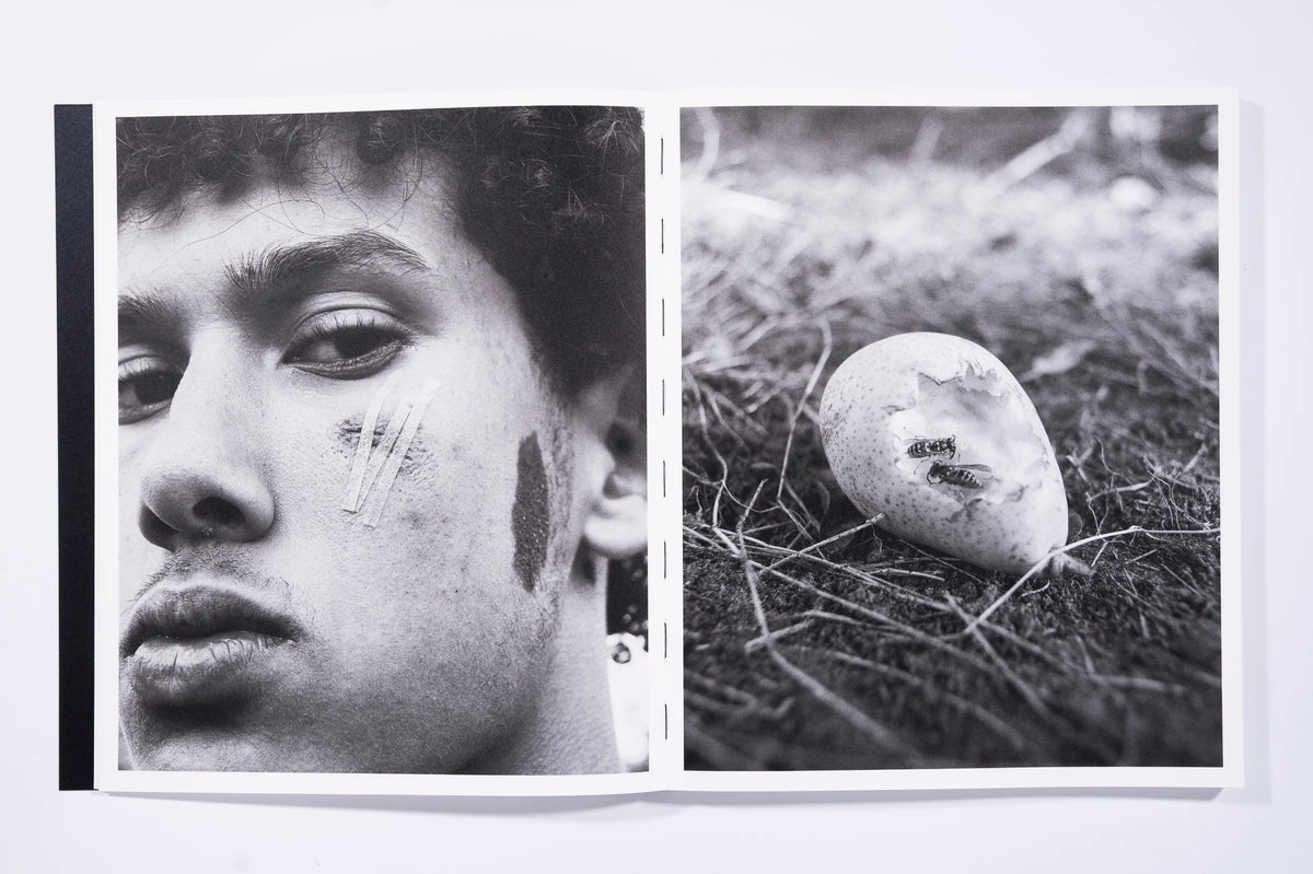 Mixedness is my Mythology, Farren van Wyk