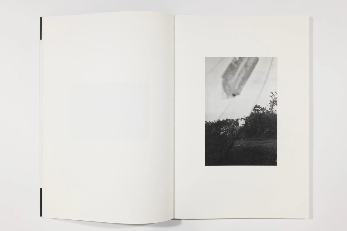 Paraiso, Emiliano Zuniga Hernandez