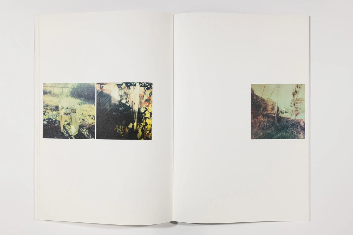 Paraiso, Emiliano Zuniga Hernandez