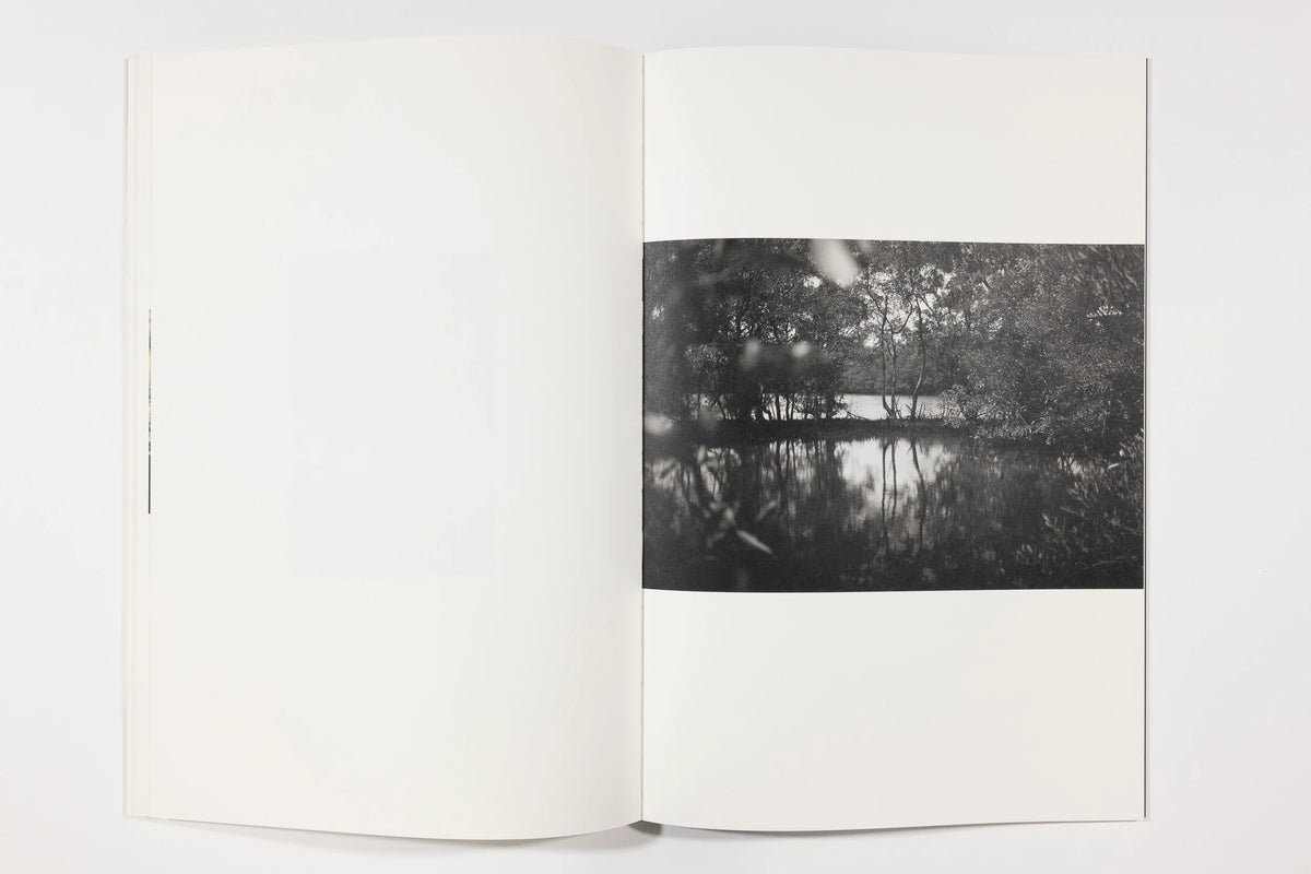 Paraiso, Emiliano Zuniga Hernandez