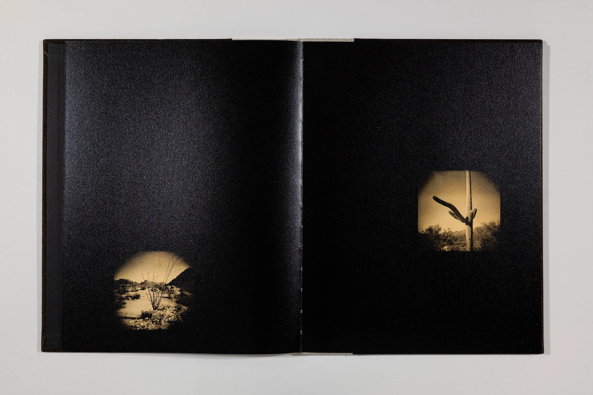 Valerie Galloway, Rever dans le desert