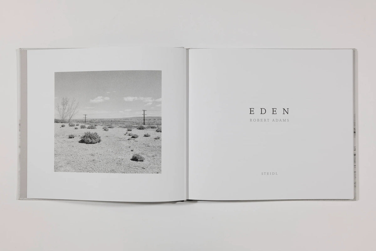 Robert Adams, Eden