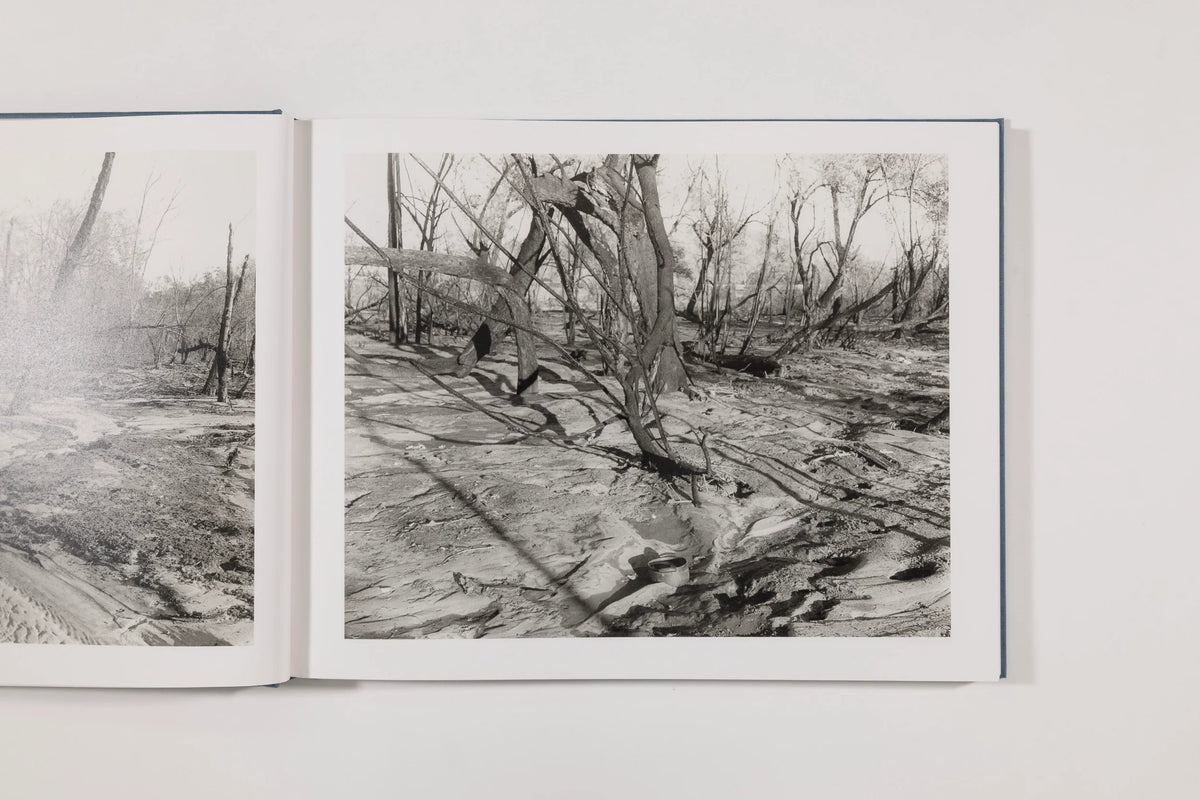 Mark Ruwedel, Rivers Run Through It