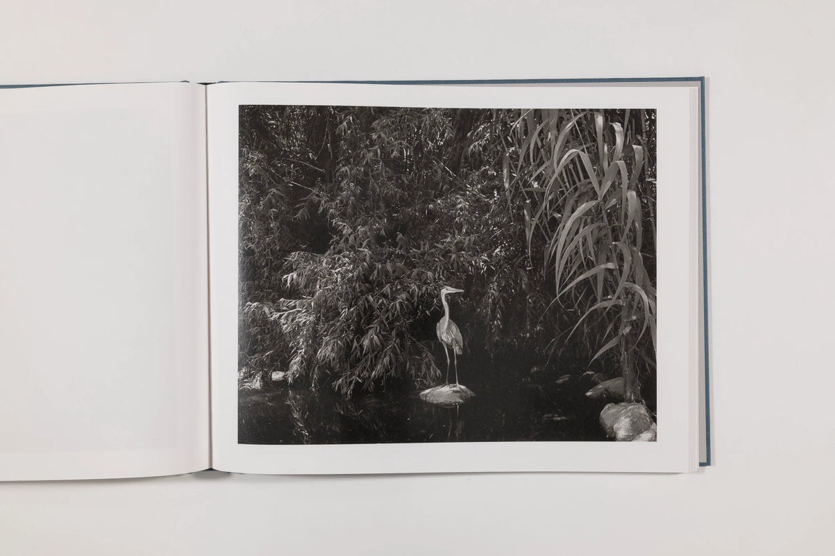 Mark Ruwedel, Rivers Run Through It