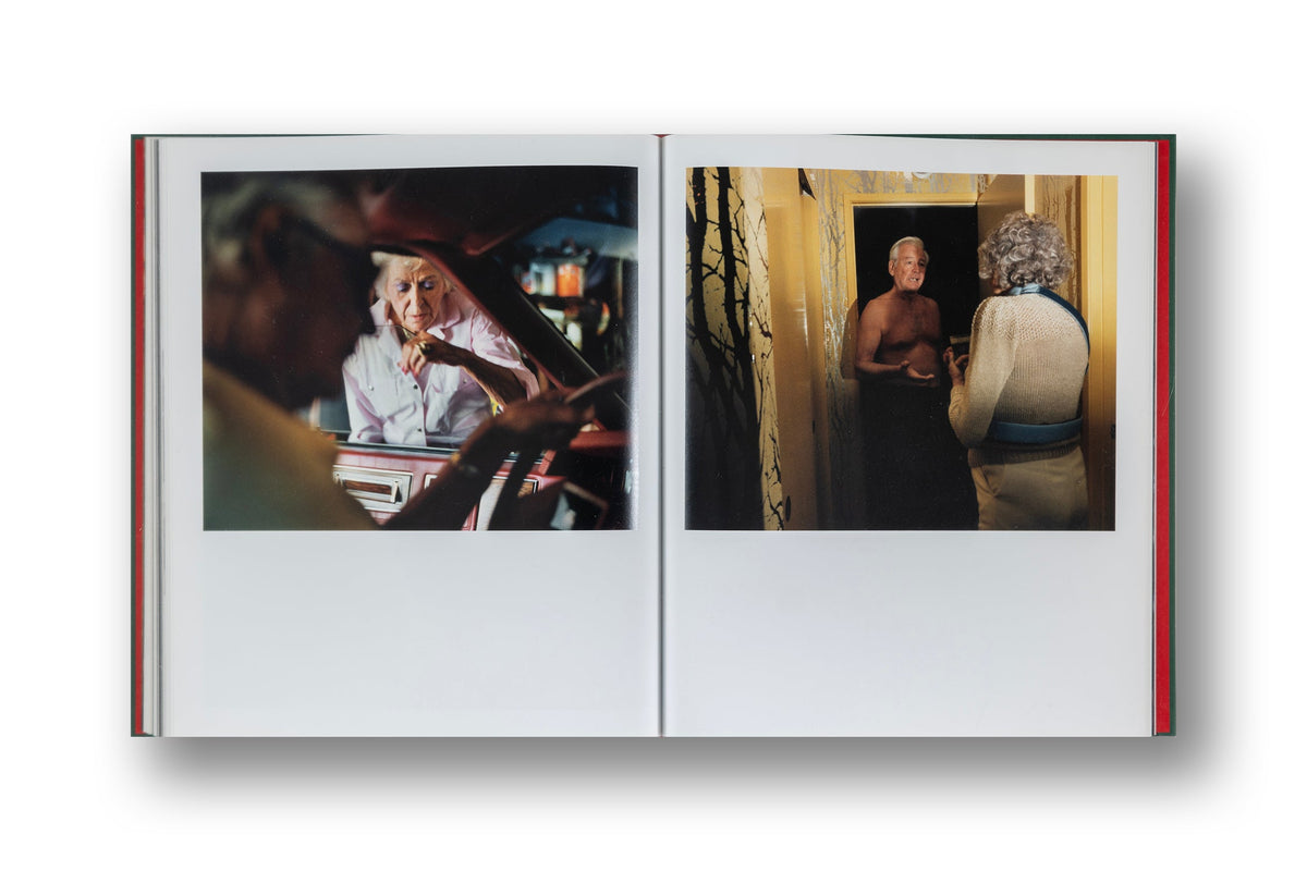 Larry Sultan Pictures From Home