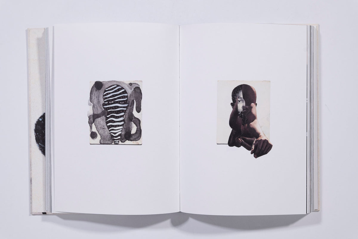 Passports - Keisha Scarville — photo 4