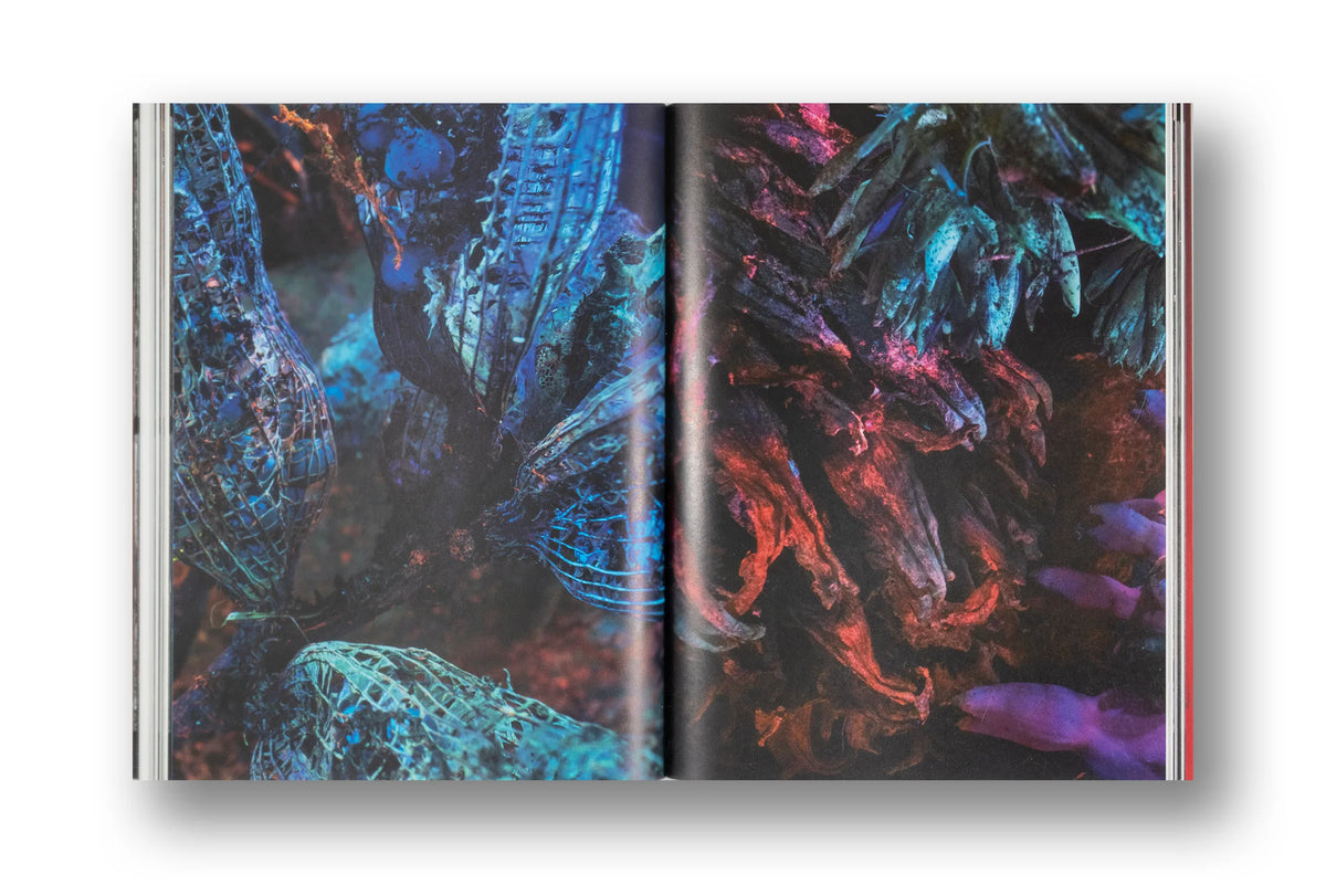 Richard Mosse, Broken Spectre