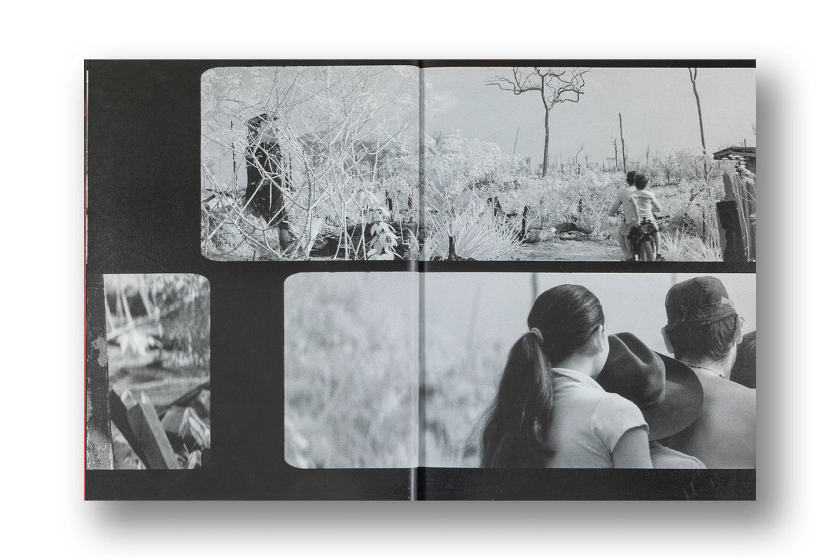 Richard Mosse, Broken Spectre
