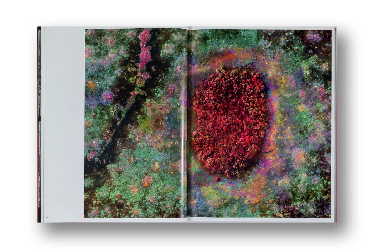 Richard Mosse, Broken Spectre