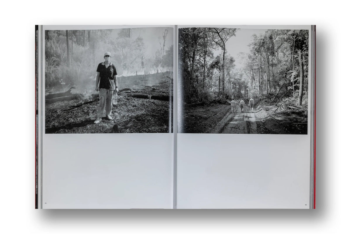 Richard Mosse, Broken Spectre