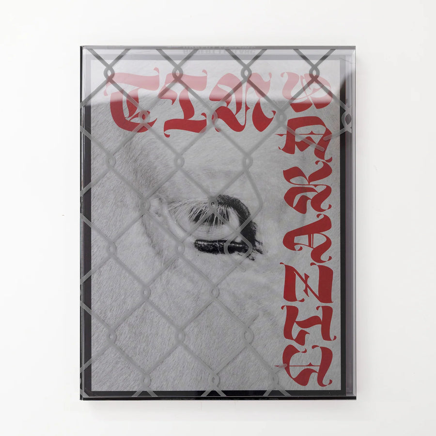 Robert LeBlanc, Tin Lizards