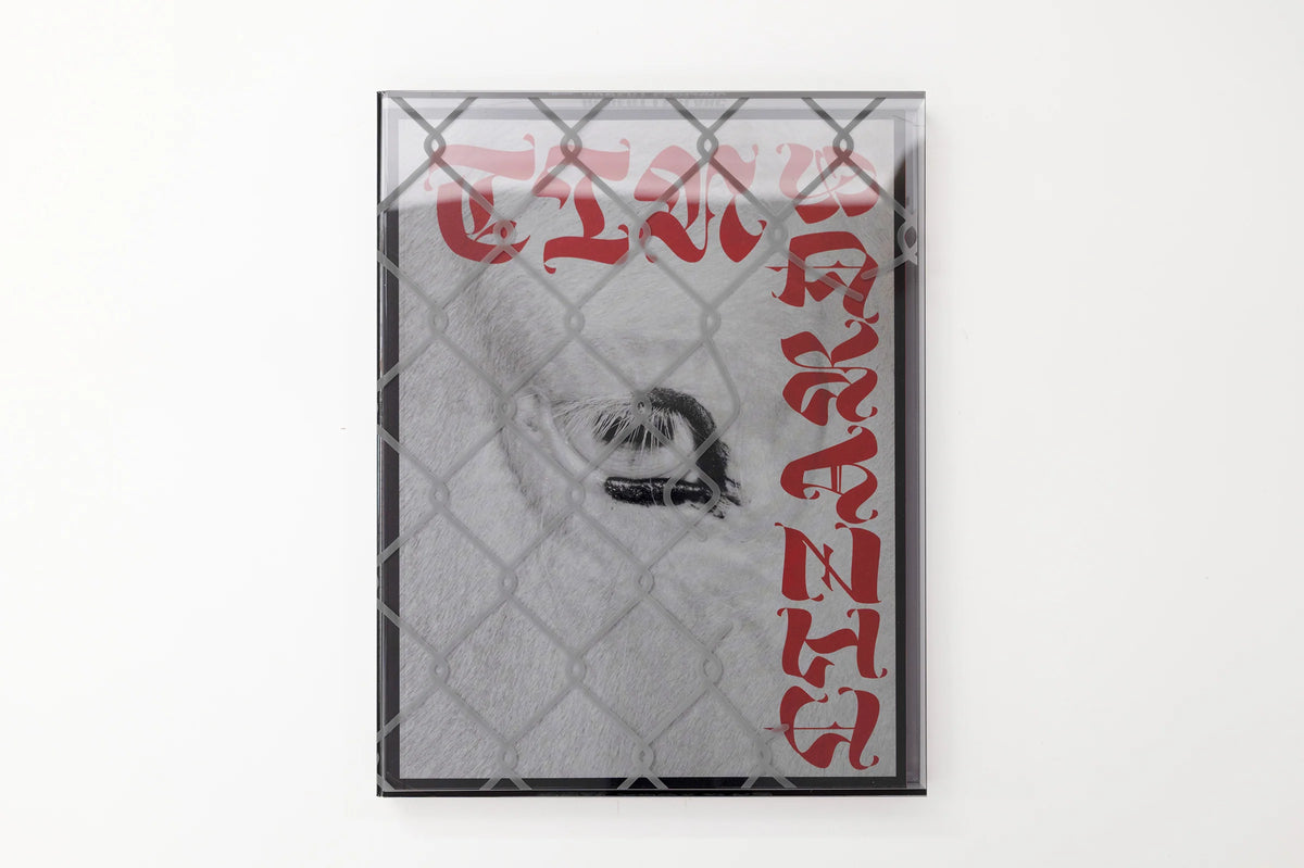 Robert LeBlanc, Tin Lizards