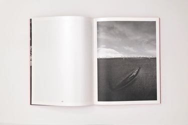 Robert LeBlanc, Tin Lizards