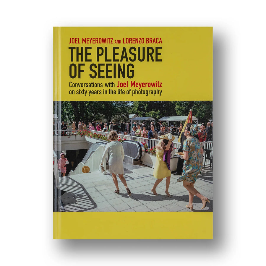 The Pleasure of Seeing