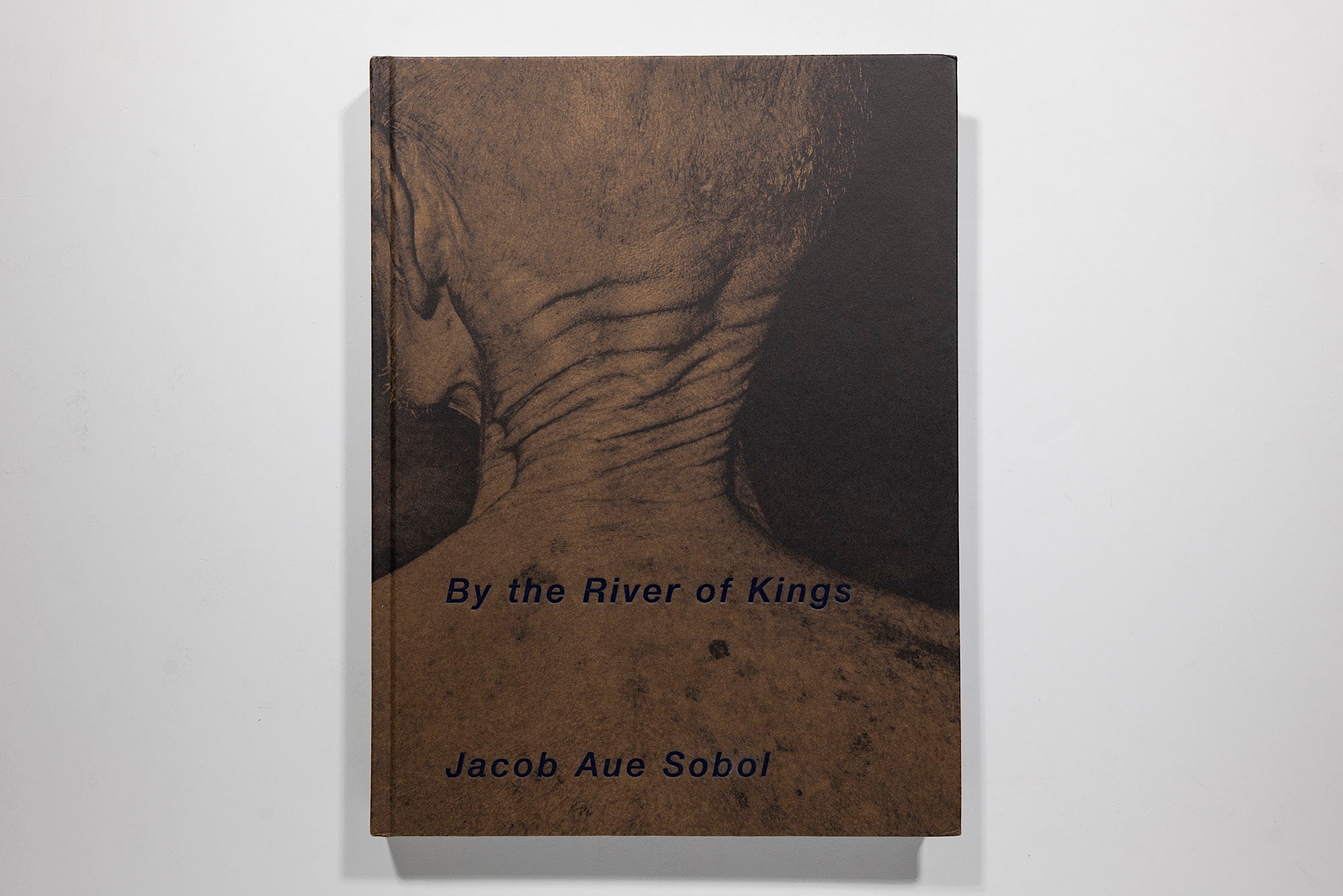 Jacob Aue Sobol - By the River of Kings