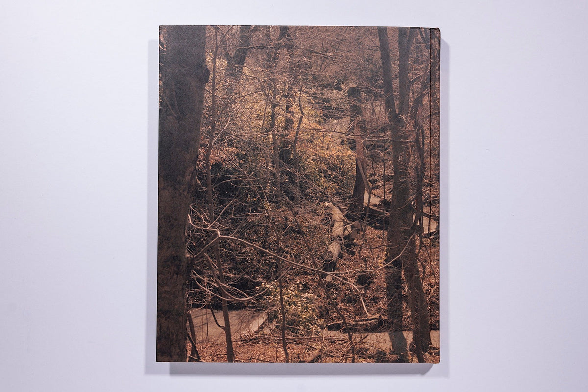 Irina Rosovsky - In Plain Air