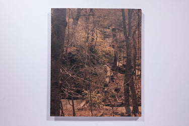 Irina Rosovsky - In Plain Air