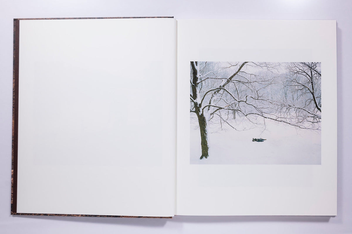 Irina Rosovsky - In Plain Air