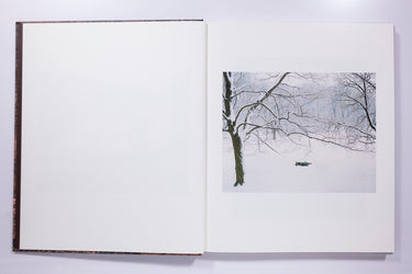Irina Rosovsky - In Plain Air