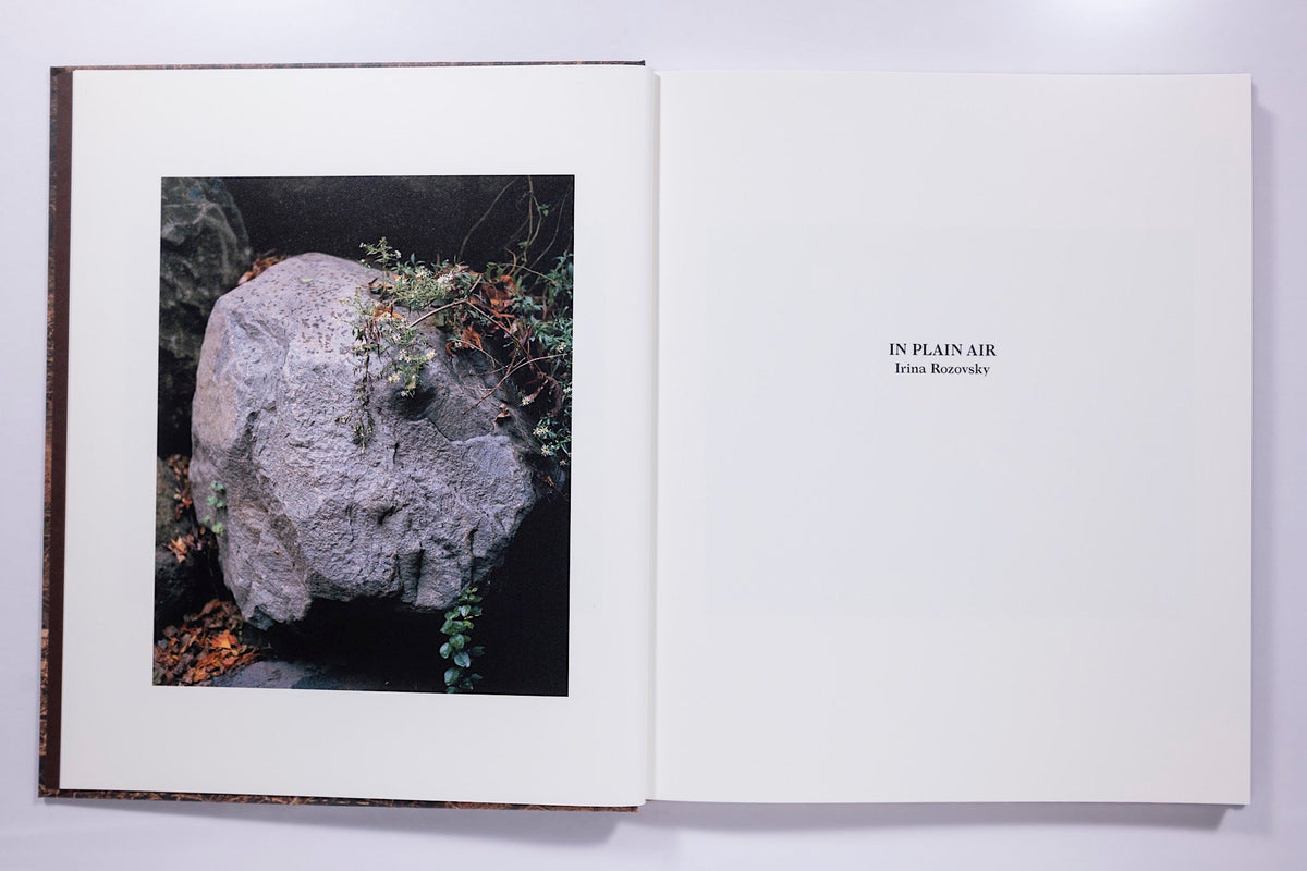 Irina Rosovsky - In Plain Air