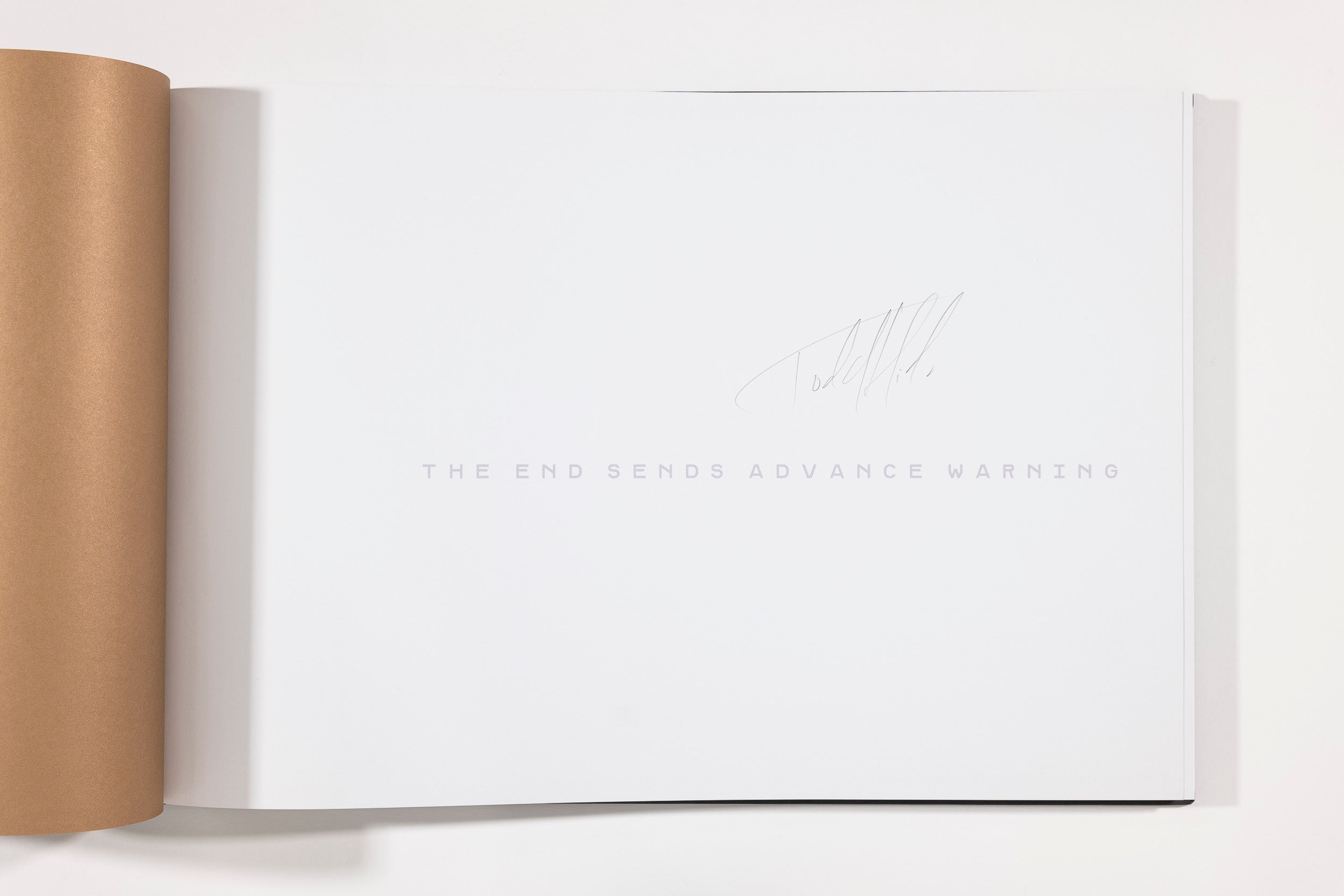 The End Sends Advance Warning - Todd Hido